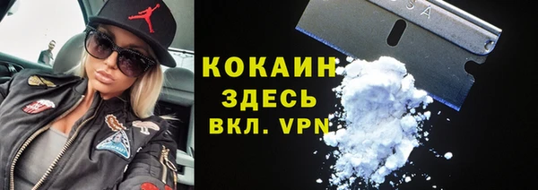 твердый Арсеньев