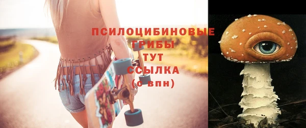 твердый Арсеньев