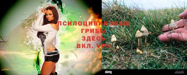меф Аркадак